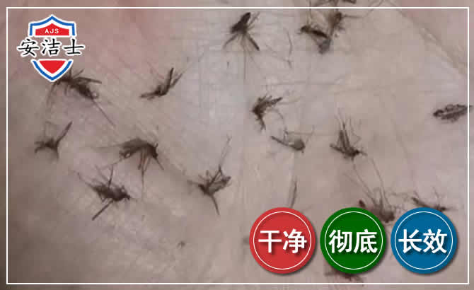 青田蚊子防治-灭蚊