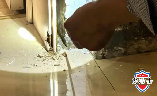 青田房屋建筑防治白蚁