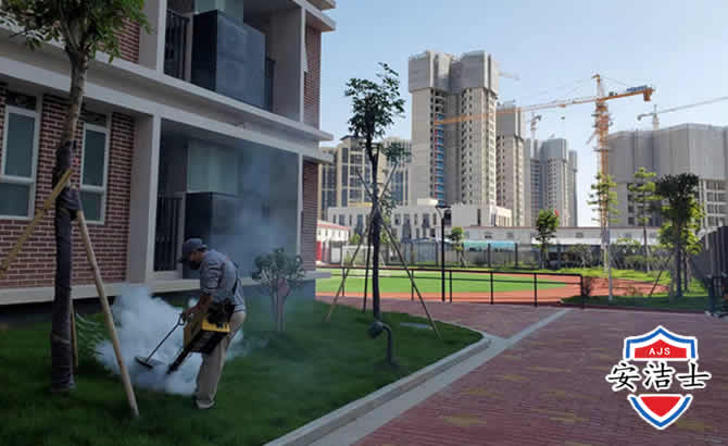 青田工厂工地除白蚁