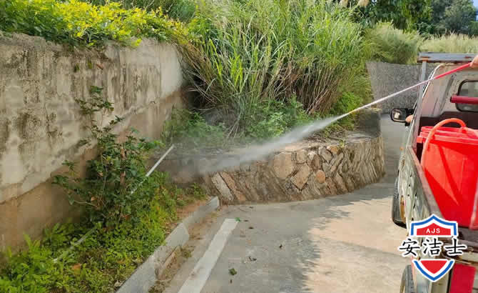 青田道路堤坝白蚁防治