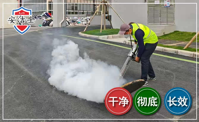 青田消杀防疫现场