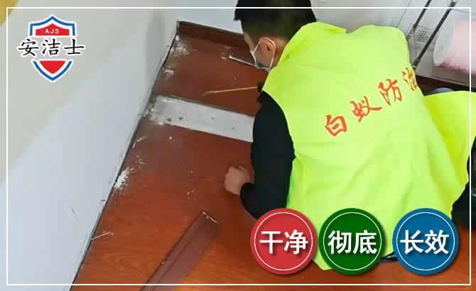 青田除四害现场