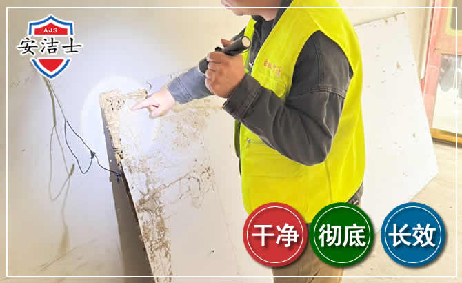 青田除白蚁现场