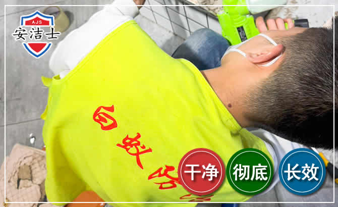 青田白蚁根治现场